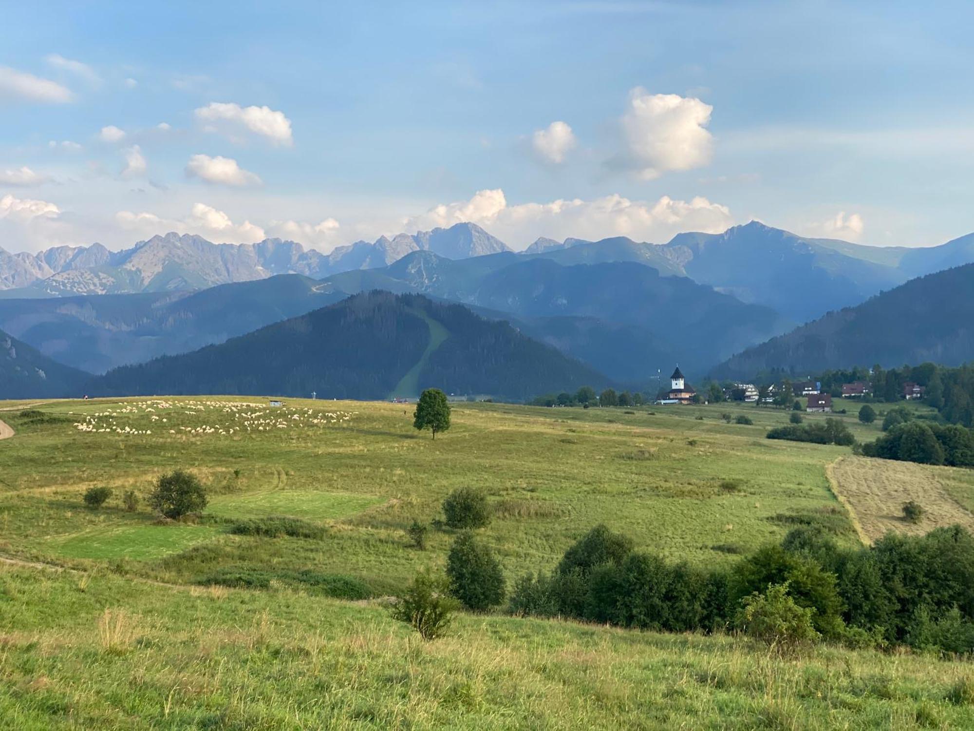 Apartament Pod Wierchem Zakopane Esterno foto